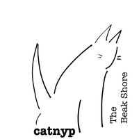 Catnyp - The Bleak Shore
