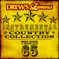 The Hit Crew - Drew's Famous Instrumental Country Collection (Vol. 65)