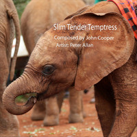 Peter Allan - Slim Tender Temptress