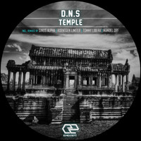D.N.S - Temple