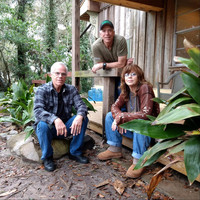 The Cowsills - The Rain, the Park and Other Things (A Cappella)