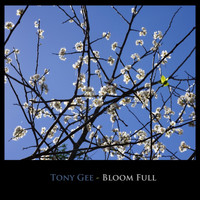 Tony Gee - Bloom Full
