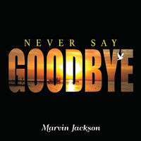 Marvin Jackson - Never Say Goodbye (Explicit)