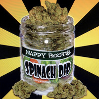 Nappy Roots - Spinach Dip (Explicit)