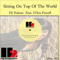 Dj Hakuei - Sitting on Top of the World