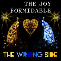 The Joy Formidable - The Wrong Side