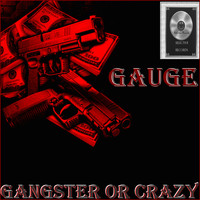 Gauge - Gangster or Crazy