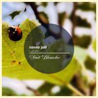 Navab Jalil - Nature