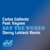 Carlos Gallardo - Say the Words (Danny Leblack Remix)