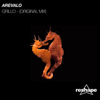 Arevalo(CL) - Grillo