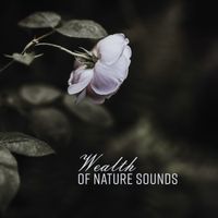 Native American Flute - Wealth of Nature Sounds