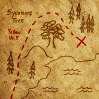 Yellow No. 5 - Sycamore Tree