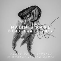 Nalin & Kane - Beachball 2017 (Andry Meets Schalli Remix)