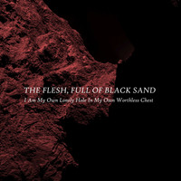 The Flesh Full of Black Sand / - I Am My Own Lonely Hole In My Own Worthless Chest