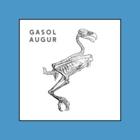 Gasol - Augur