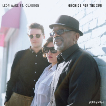 Leon Ware - Orchids for the Sun / Hold Tight