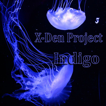 X-Den Project - Indigo