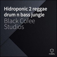 Black lyon Studios - Hidroponic 2 Reggae Drum N Bass Jungle