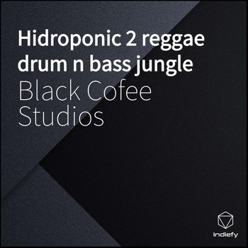 Black lyon Studios - Hidroponic 2 Reggae Drum N Bass Jungle