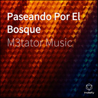 M3tator Music - Paseando Por El Bosque