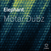 Motar Dubz - Elephant