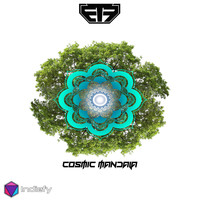 Evolve The Future - Cosmic Mandala