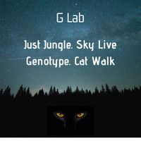 Just Jungle & Genotype - Sky Live / Cat Walk