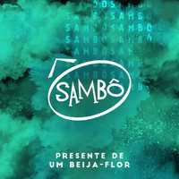 Sambô - Presente de um Beija-Flor