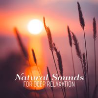 Native American Flute - Natural Sounds for Deep Relaxation