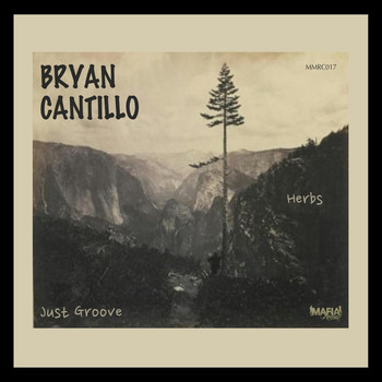 Bryan Cantillo - Herbs / Just Groove