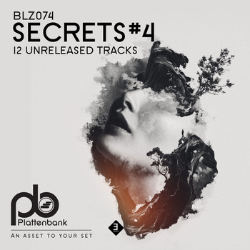 Various Artists - Secrets #4