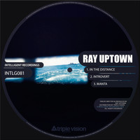ray uptown - In the Distance