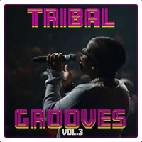 Abdull D - Tribal Grooves Vol. 3