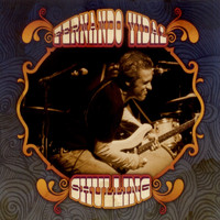 Fernando Vidal - Shulling