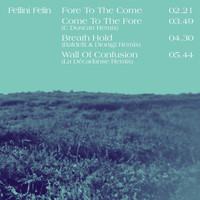 Fellini Felin - Temporary Fiction (Remixes)