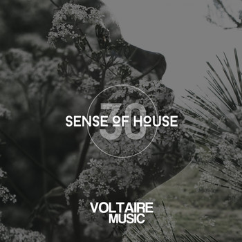 Various Artists - Sense Of House, Vol. 30