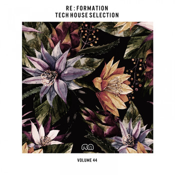 Various Artists - Re:Formation, Vol. 44 - Tech House Selection