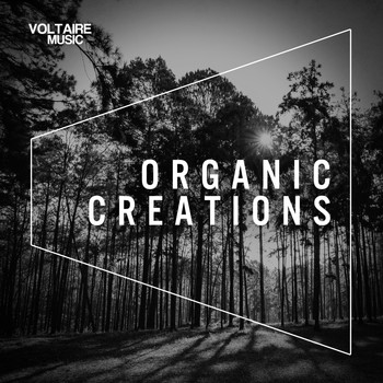 Various Artists - Organic Creations Issue 1