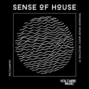 Various Artists - Sense Of House, Vol. 37