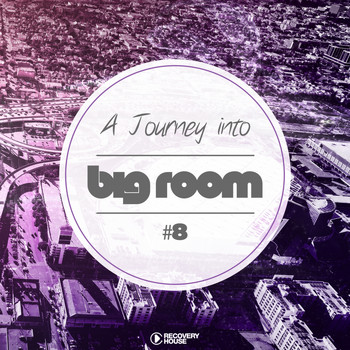 Various Artists - A Journey Into Big Room, Vol. 8