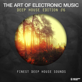 Various Artists - The Art Of Electronic Music - Deep House Edition, Vol. 6