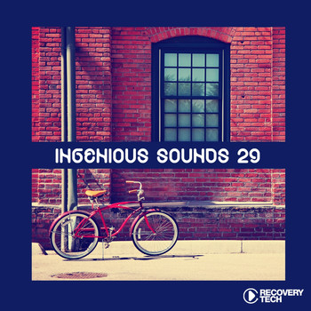 Various Artists - Ingenious Sounds, Vol. 29
