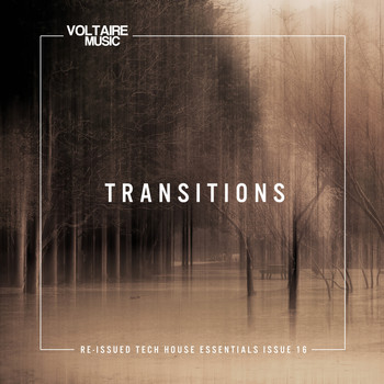 Various Artists - Transition Issue 16