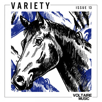 Various Artists - Voltaire Music pres. Variety Issue 13
