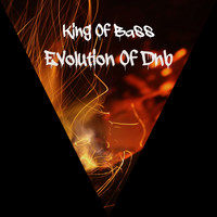 King Of Bass / - Evolution Of Dnb