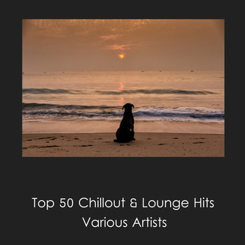 Various Artists - Top 50 Chillout & Lounge Hits
