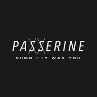 Passerine - Numb / It Was You