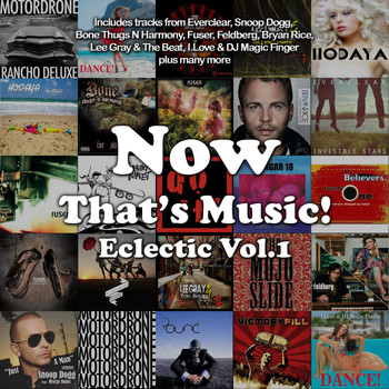 Various Artists - Now That's Music! Eclectic, Vol. 1