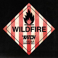 DJ Katch - Wildfire