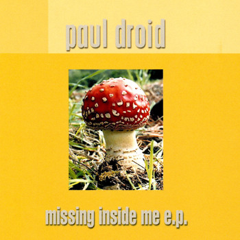 Paul Droid - Missing Inside Me